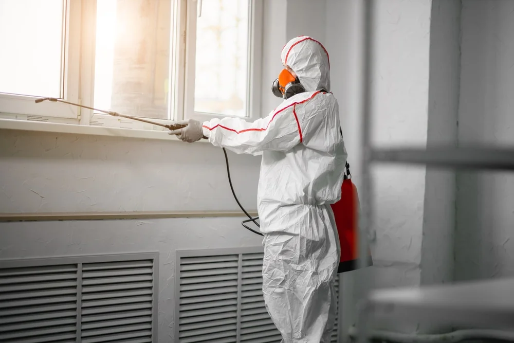 Professional mold remediation services in Center Barnstead, NH